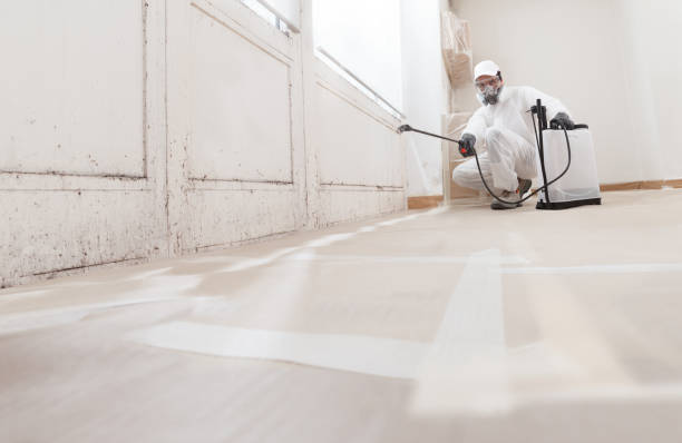 24/7 Emergency Attic Mold Removal experts in Toddville, MD